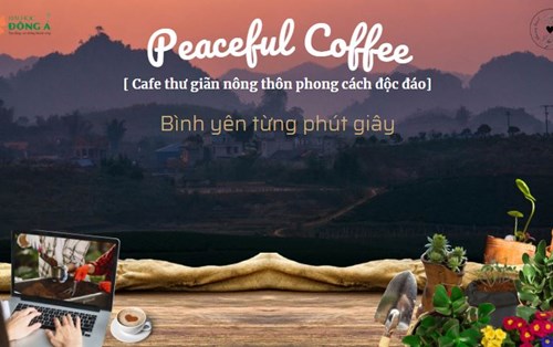 Dự án: Peaceful Coffee - Cafe thư giãn nông thôn phong cách độc đáo